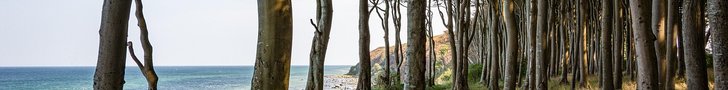 Site add